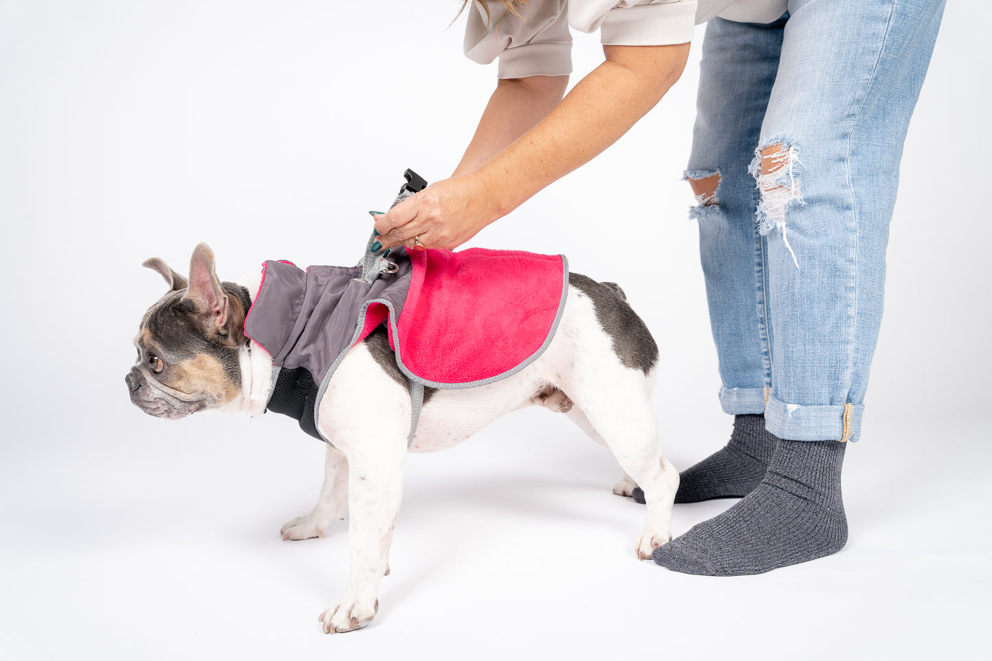 2-in-1 Thermal Dog Fleece Jacket with Removable Harness – Fuchsia