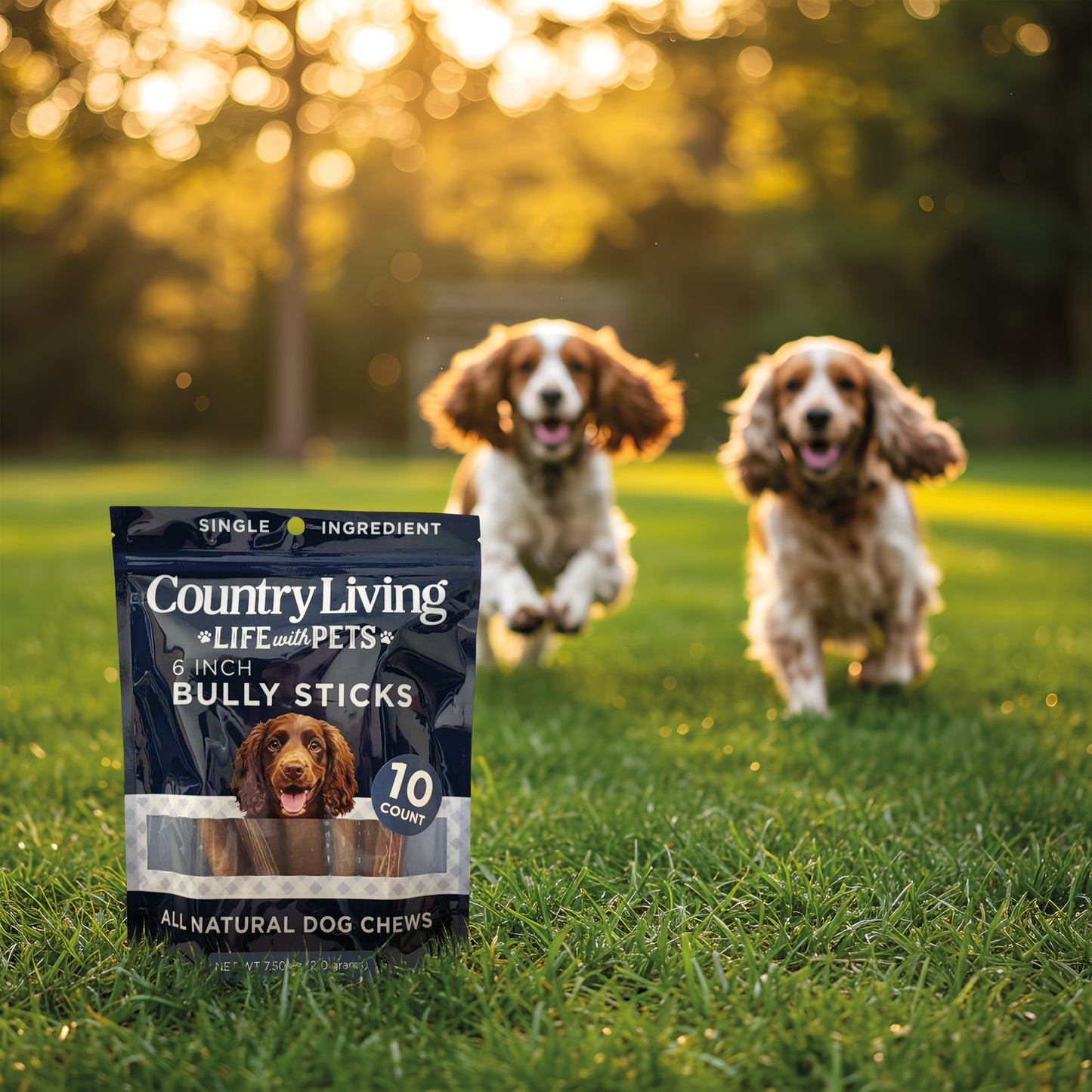 Country Living 6” Bully Sticks for Dogs – Standard – 10 Count Bag – All-Natural, Single-Ingredient, Long-Lasting Dog Chews – High-Protein, Grain-Free, Rawhide-Free –Supports Dental Health
