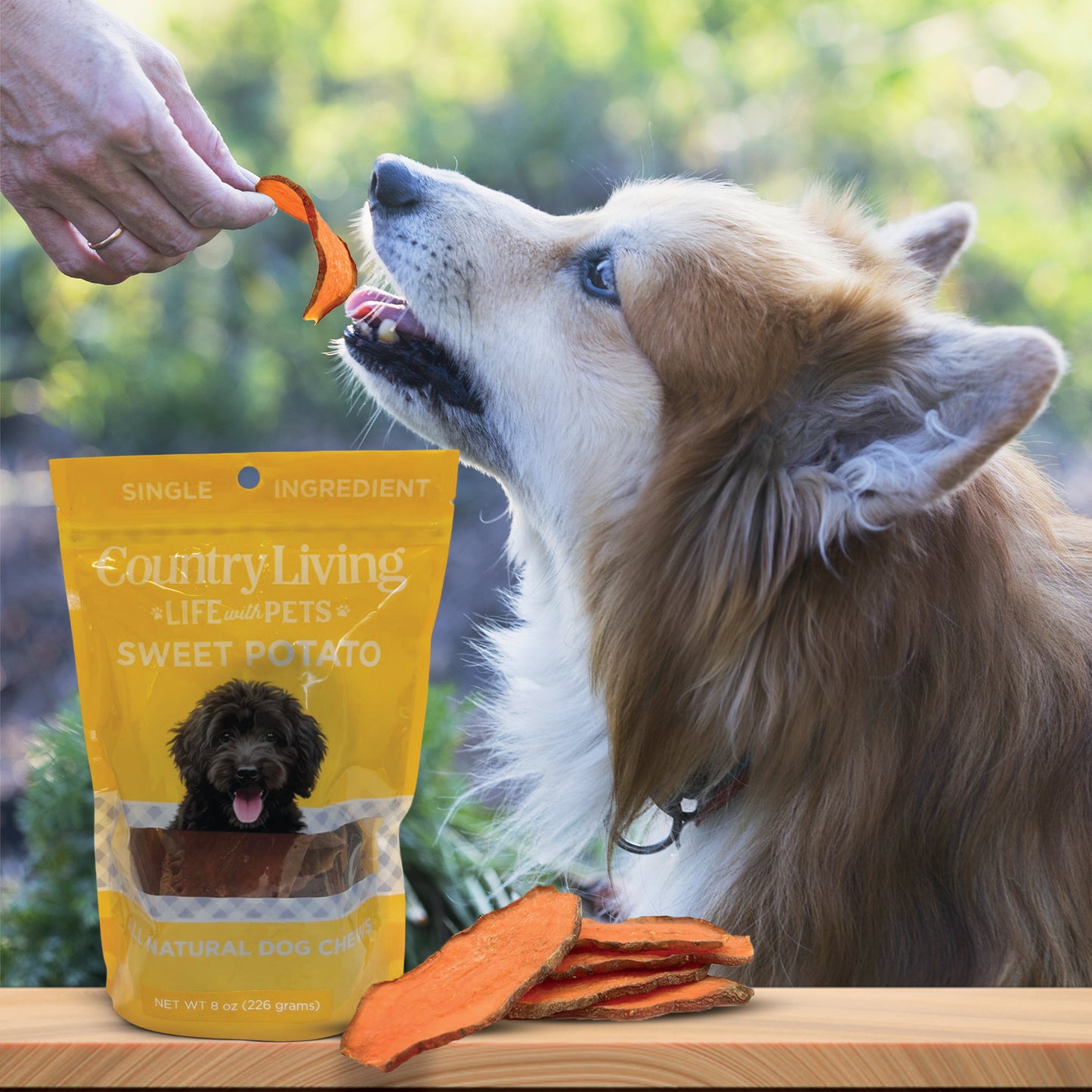 Country Living Sweet Potato Chips Dog Treats – 8oz Bag – 100% Natural, Single-Ingredient, Grain-Free Dog Treats – Healthy Chews – No Additives or Preservatives