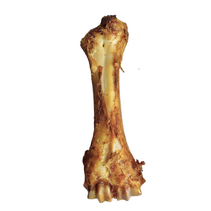 11" Natural Beef Shin Bone Dog Chew (2-Pack)
