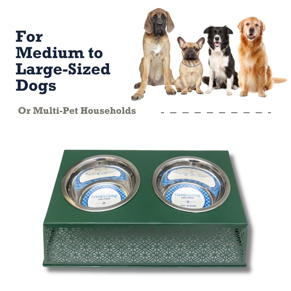 Eco-friendly raised dog feeder