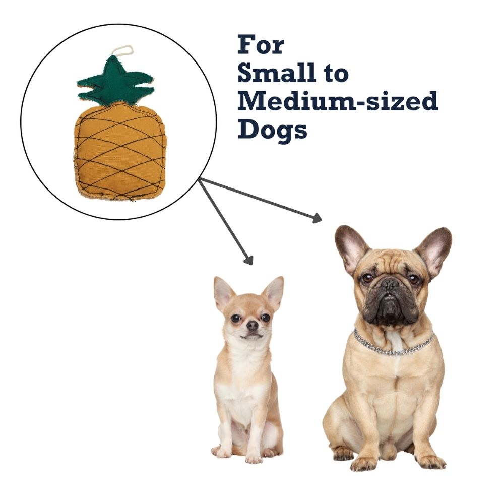 Pineapple-shaped canvas and jute dog chew toy