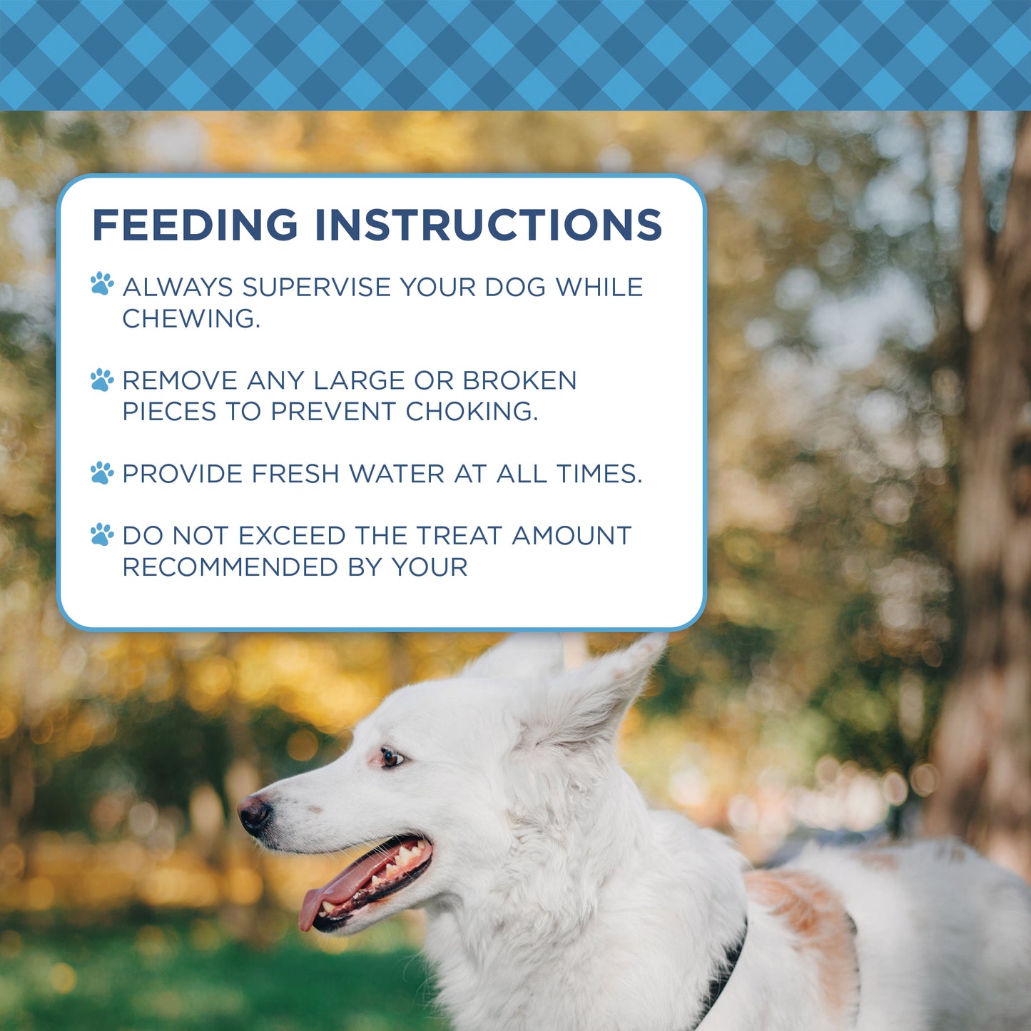 Country Living 4”-7” Rib Bones Dog Treats – 7 Count Bag – All-Natural Beef Rib Bones for Dogs – Long-Lasting, High-Protein Chews – Supports Dental Health – No Rawhide, No Artificial Ingredients