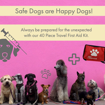 40-piece pet first aid kit for travel and safety