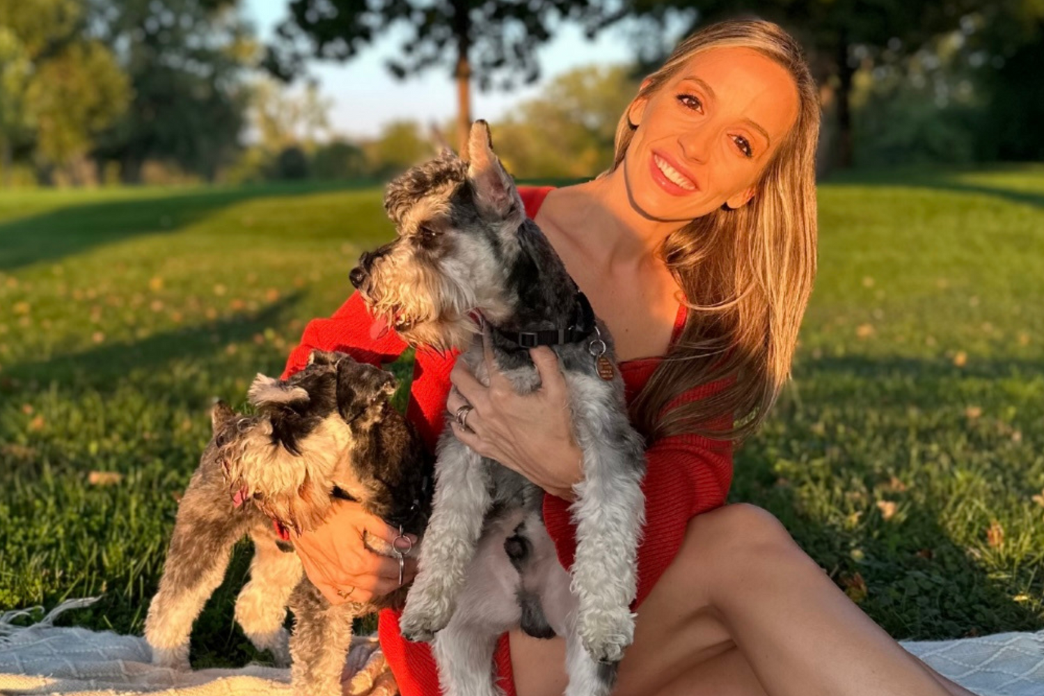 American best sale pet supply