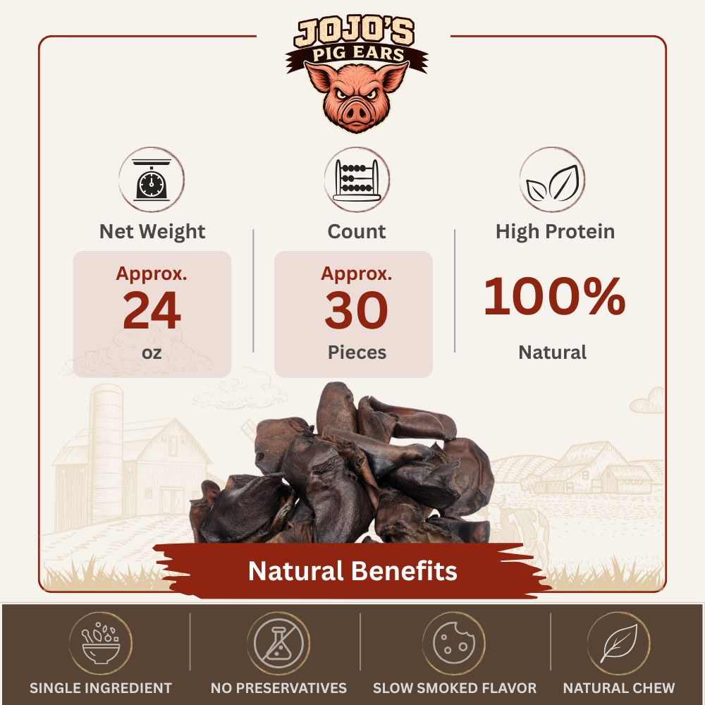 Natural smoked pig ears dog chews in value bucket