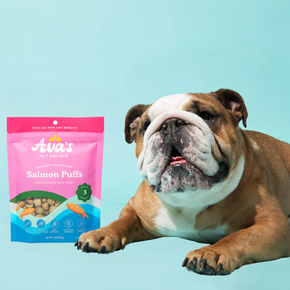 Ava's Pet Palace Freeze-Dried Salmon Puffs: Omega-3 Rich Wild-Caught Salmon, Kale & Flaxseed Dog Treats (3 oz)