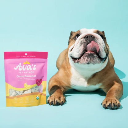 Ava's Pet Palace organic baked banana dog treats Gone Bananas natural dog snack
