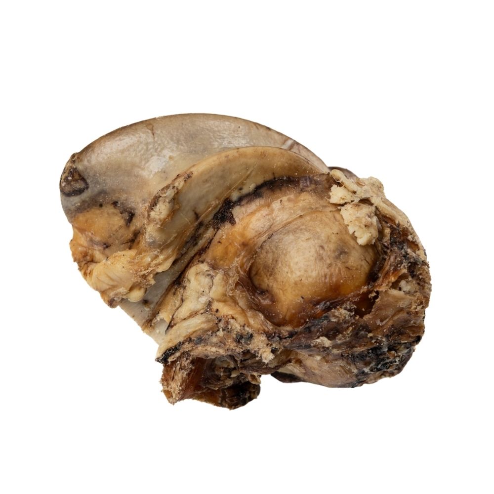 Roasted beef crown knuckle dog chew for power chewers