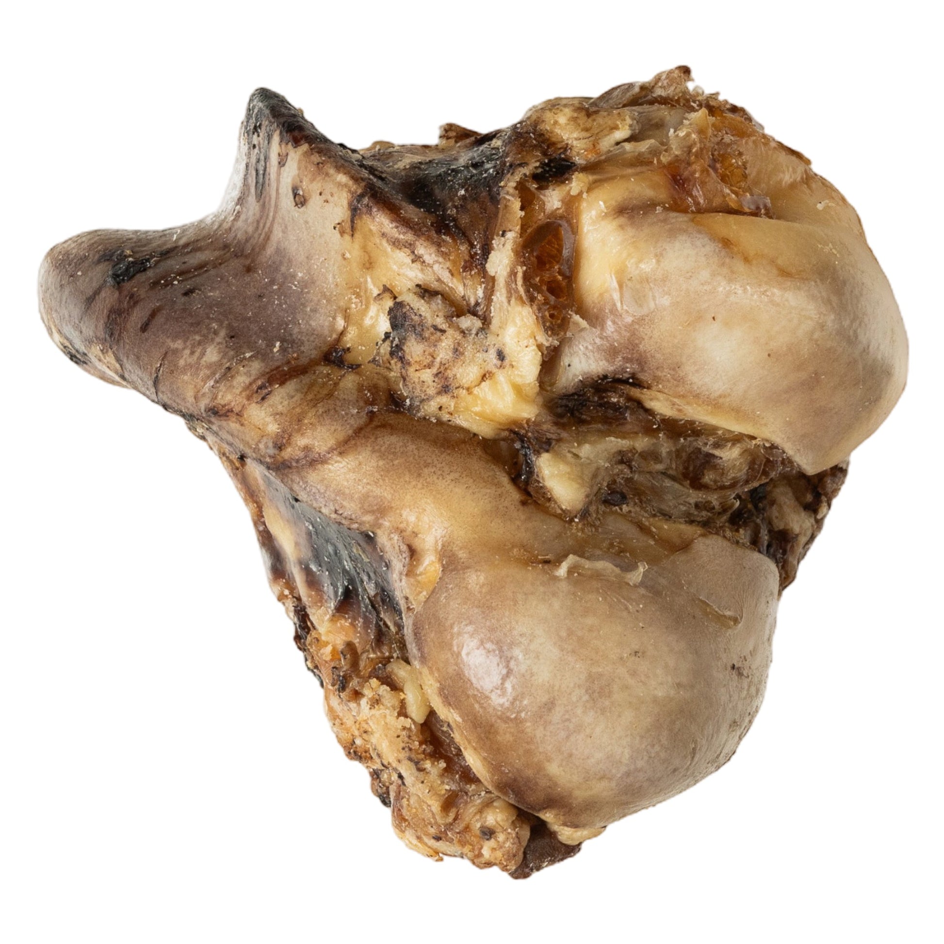 Roasted beef crown knuckle dog chew for power chewers
