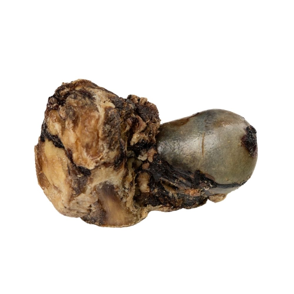 Roasted beef saddle knuckle dog chew for large dogs