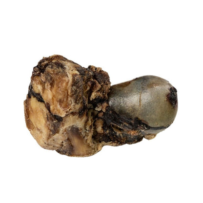 Roasted beef saddle knuckle dog chew for large dogs