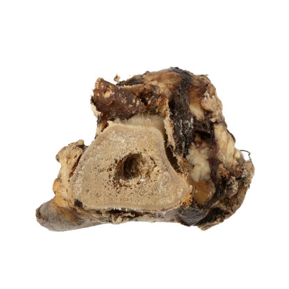 Roasted beef saddle knuckle dog chew for large dogs