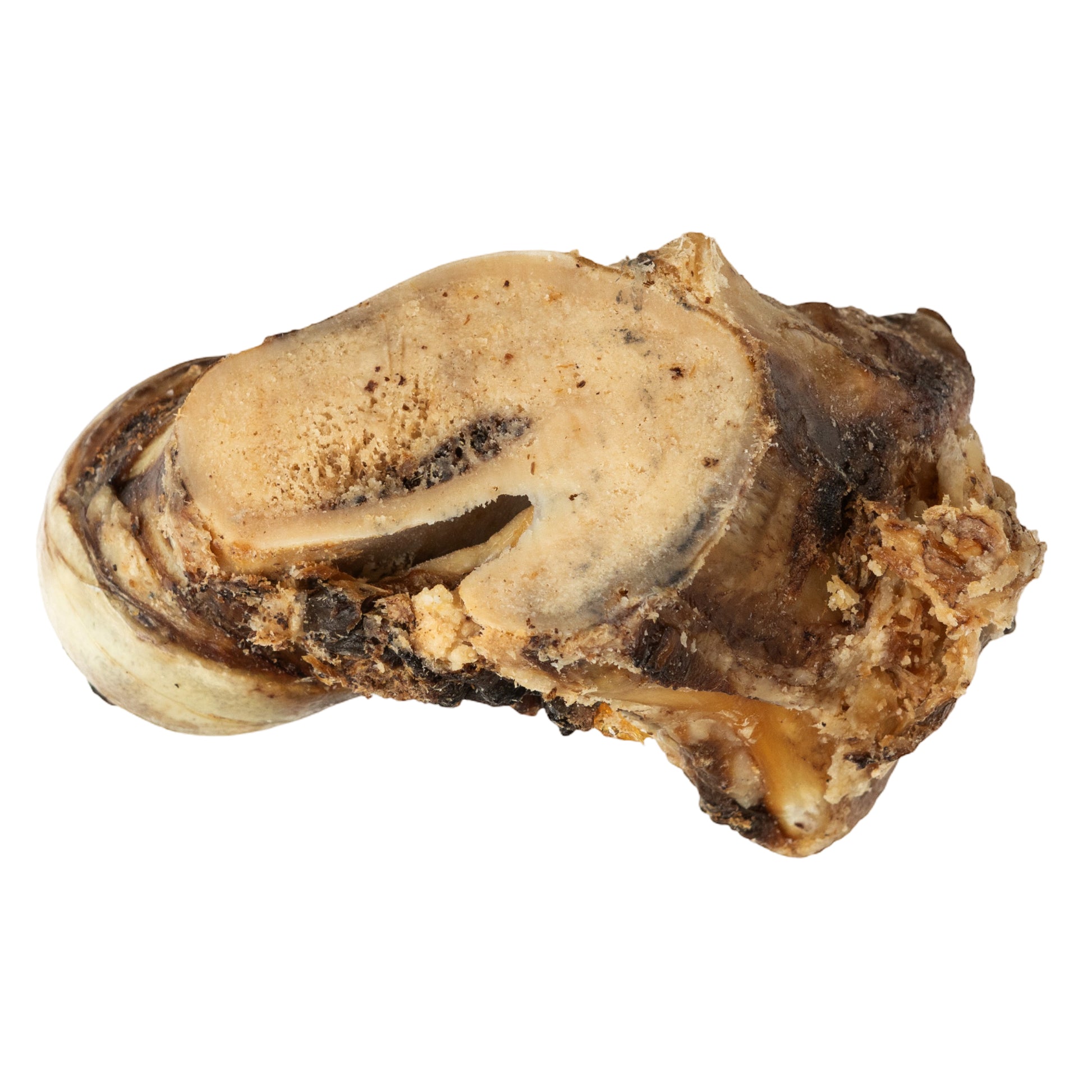 Roasted beef saddle knuckle dog chew for large dogs