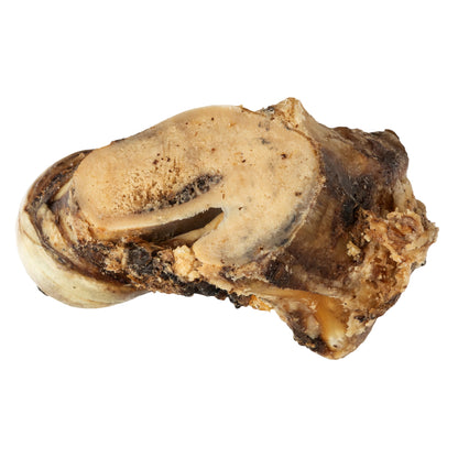 Roasted beef saddle knuckle dog chew for large dogs