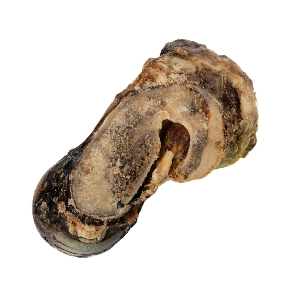 Roasted beef saddle knuckle dog chew for large dogs