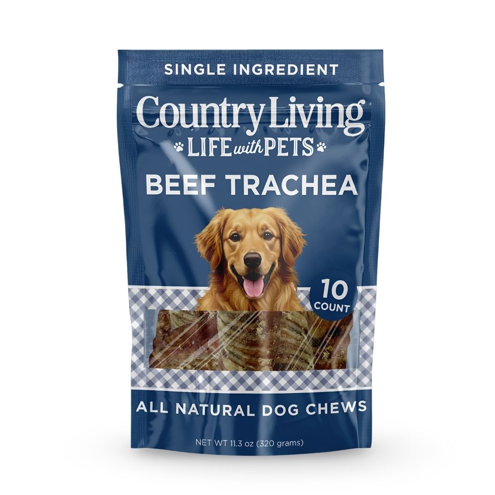 6 inch beef trachea dog chew size comparison in hand for medium and large dogs