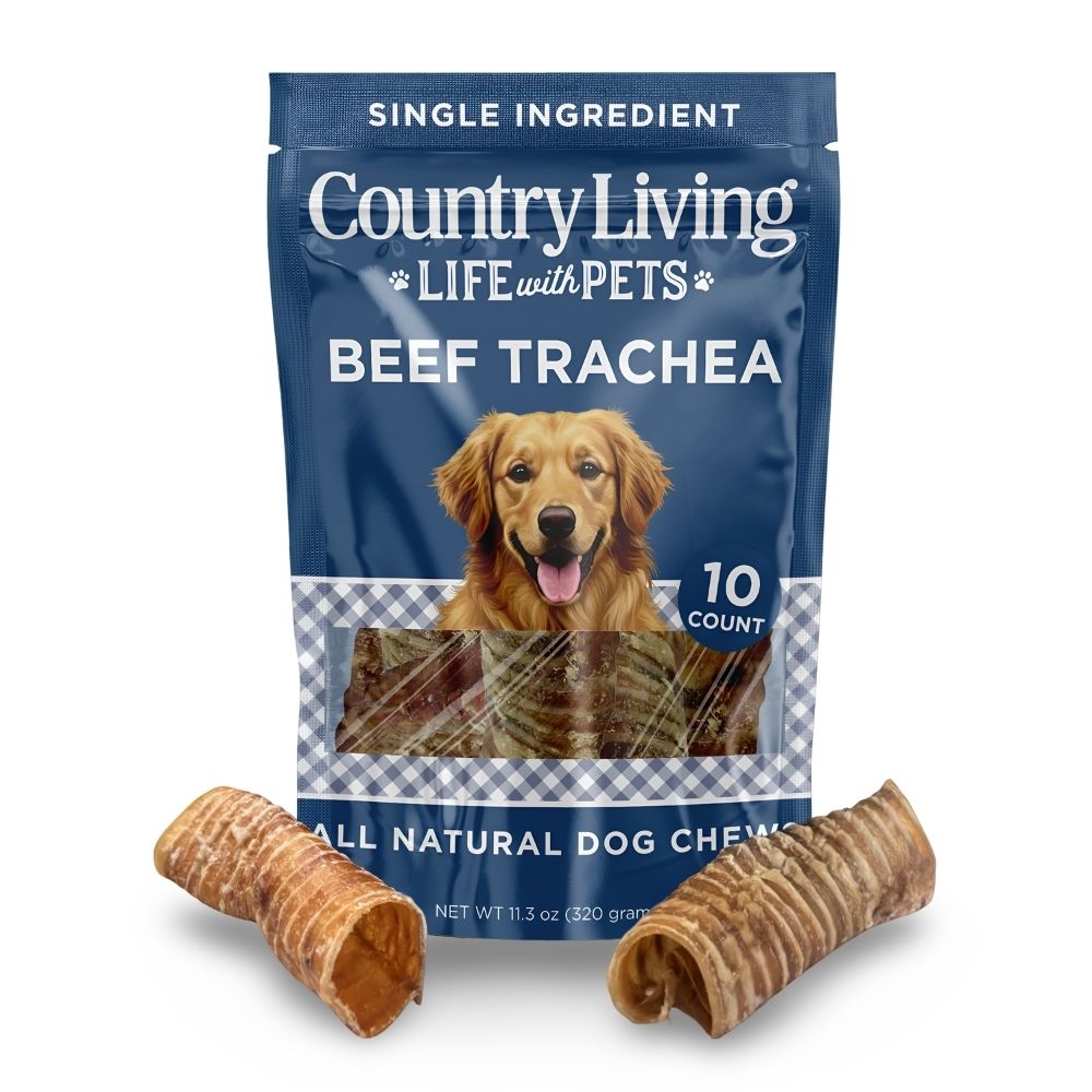 6 inch beef trachea dog chew size comparison in hand for medium and large dogs