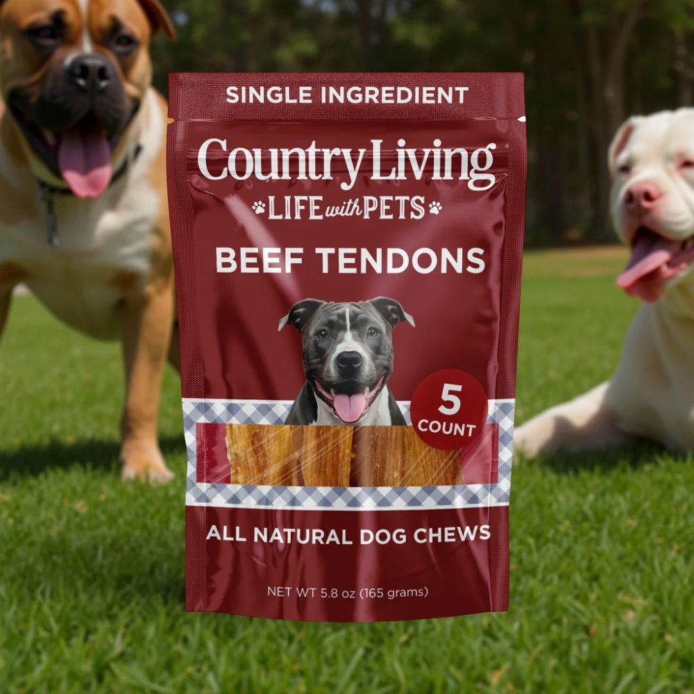 Country Living beef backstrap tendon dog chews, 5-count natural treats
