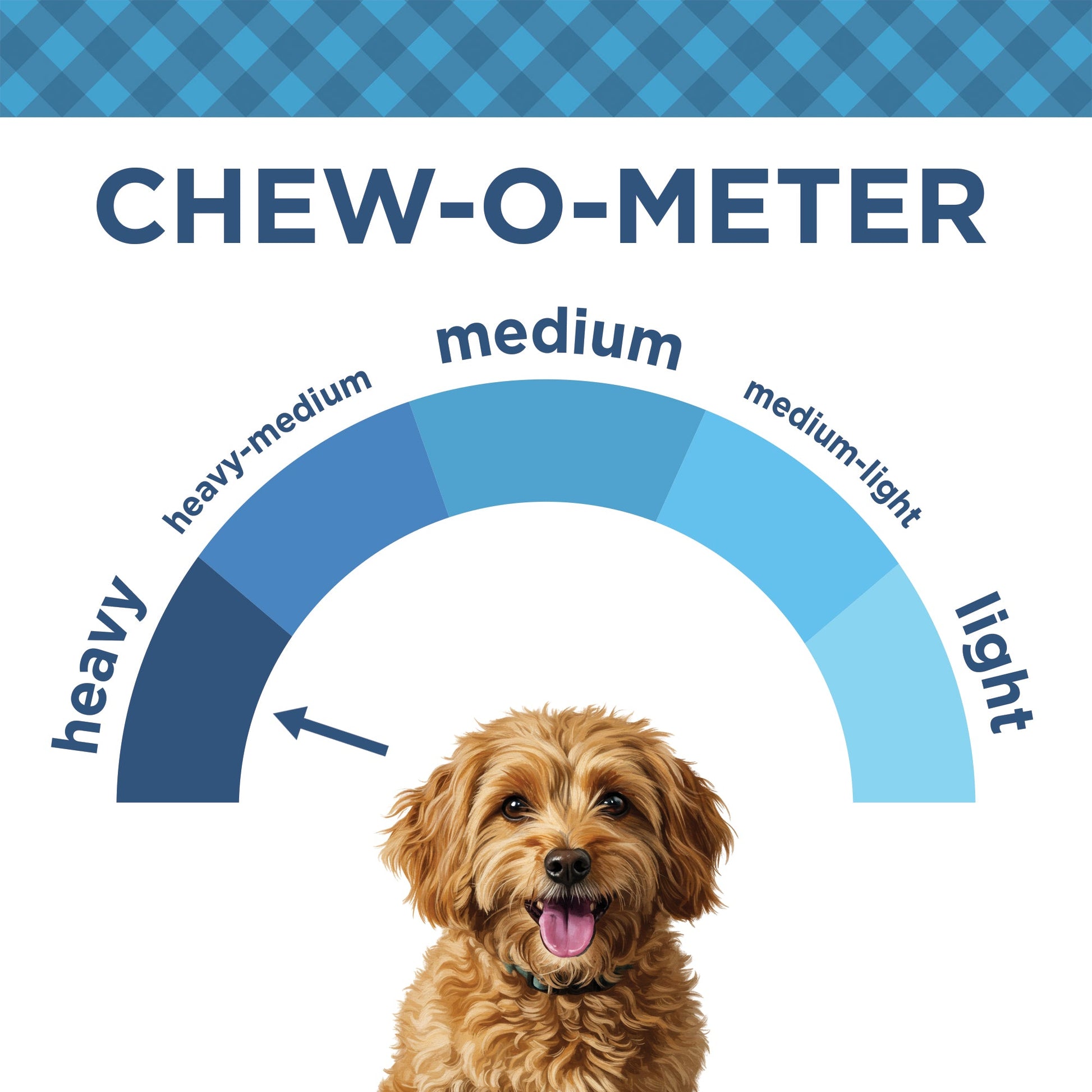 All-natural beef rib bones dog treats, long-lasting high-protein chews