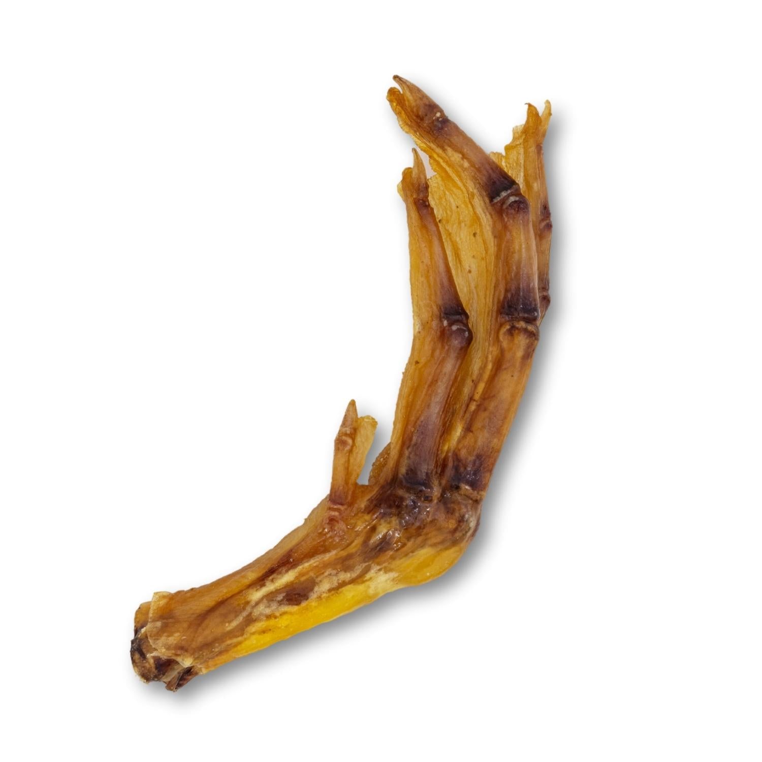 Crunchy duck feet dog chews natural long lasting treats