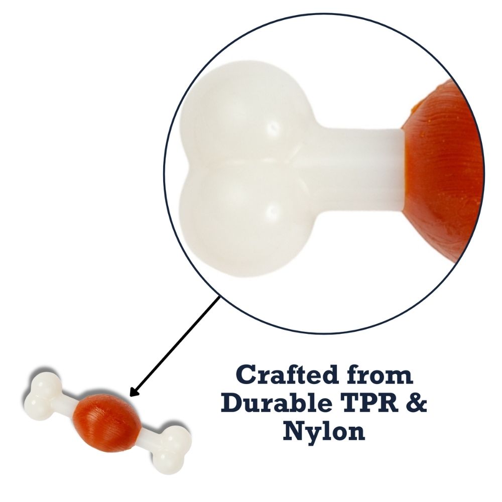 TPR nylon dog bone chew toy, beef flavored for small breeds