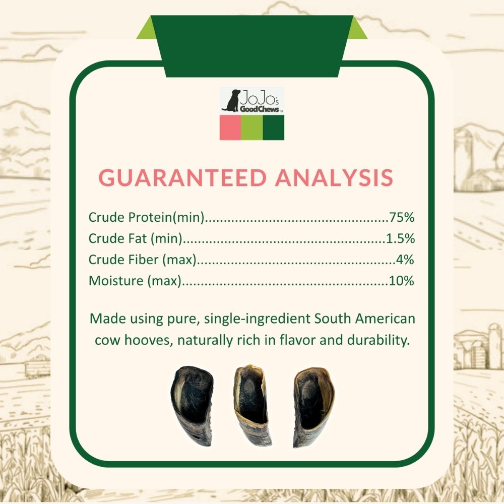 Natural cow hoof dog chew long lasting single ingredient dog treat