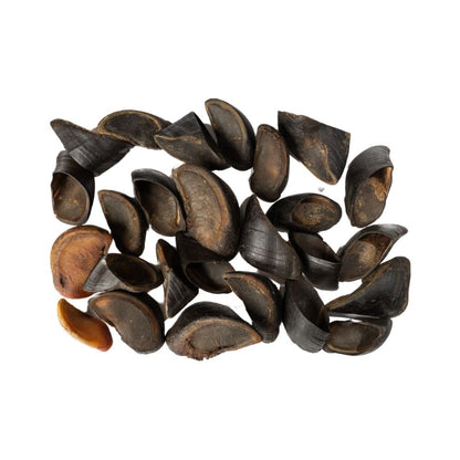 Natural cow hoof dog chew long lasting single ingredient dog treat