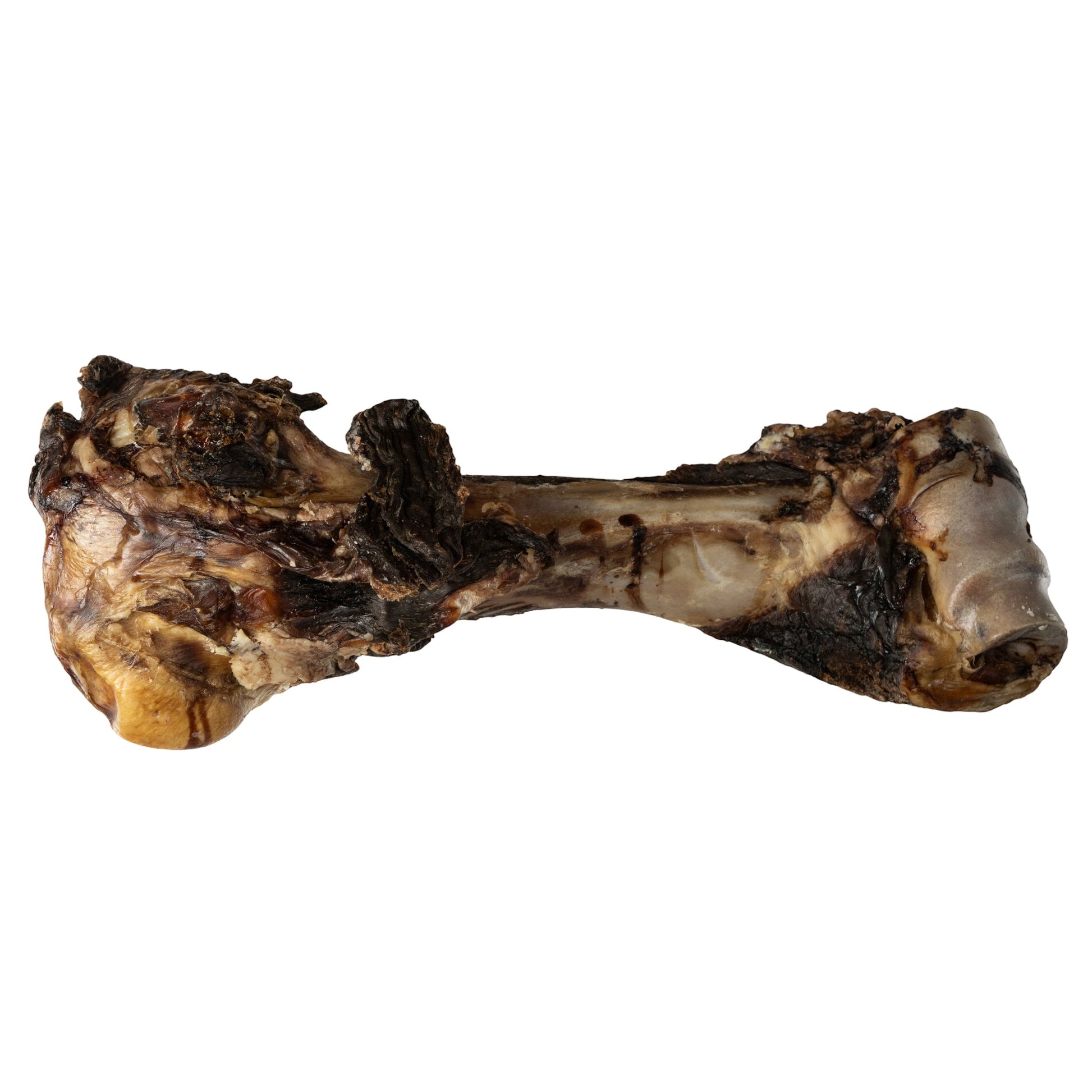large roasted beef bone dog chew for power chewers