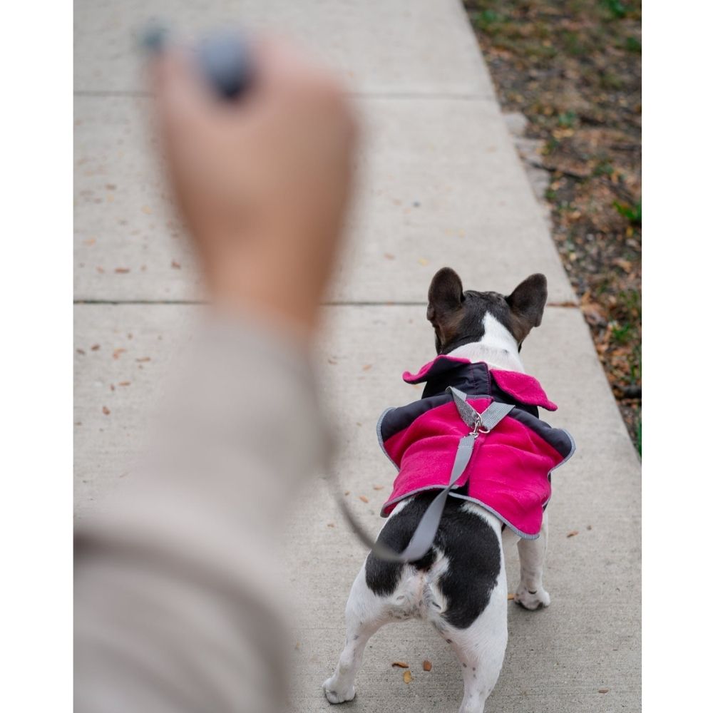 fuchsia thermal dog fleece jacket with integrated harness