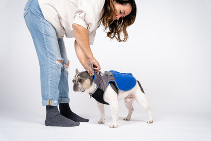 2-in-1 Thermal Dog Fleece Jacket with Removable Harness, Reflective Safety Piping – Royal Blue