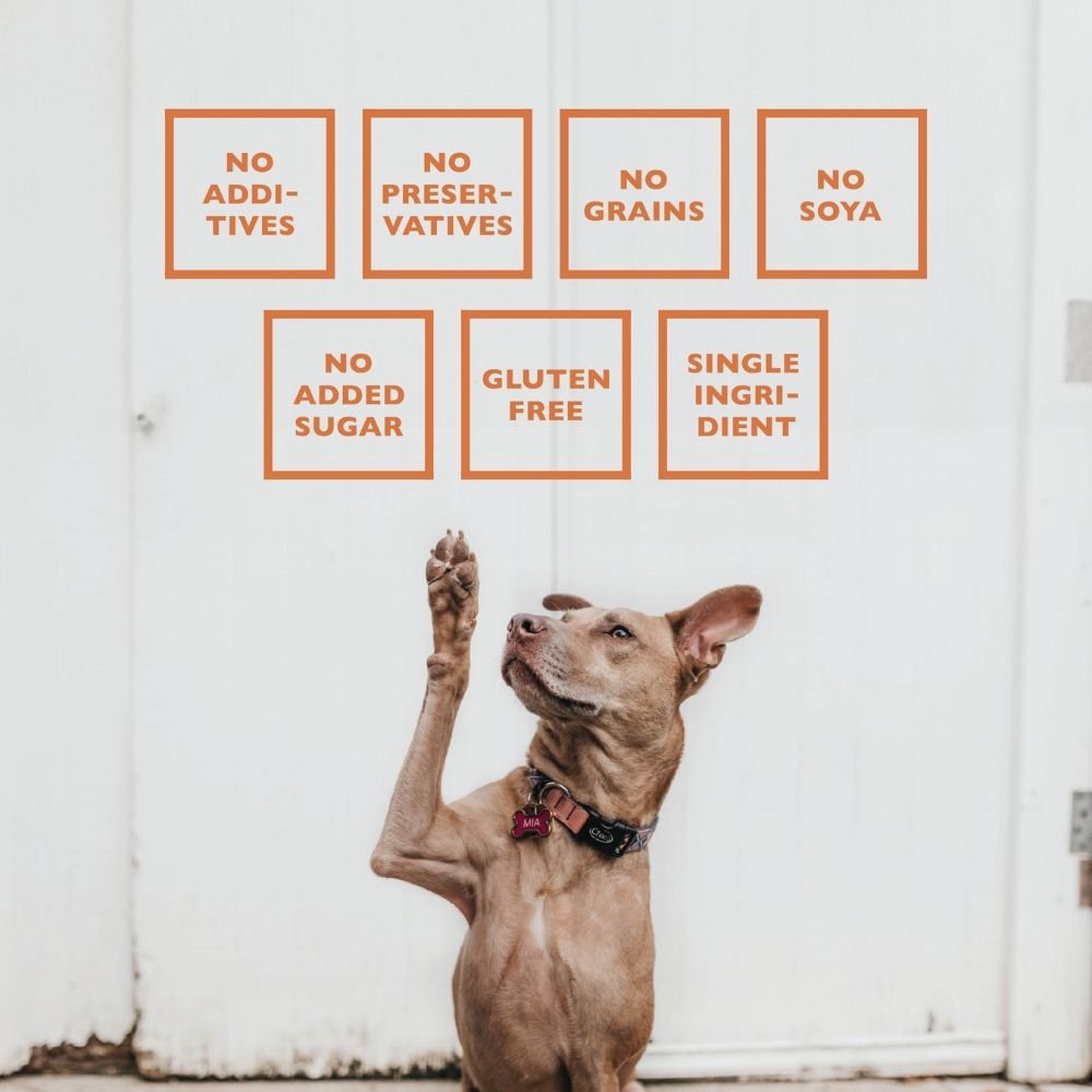 BAFFS NATURALS lamb trachea dog chews