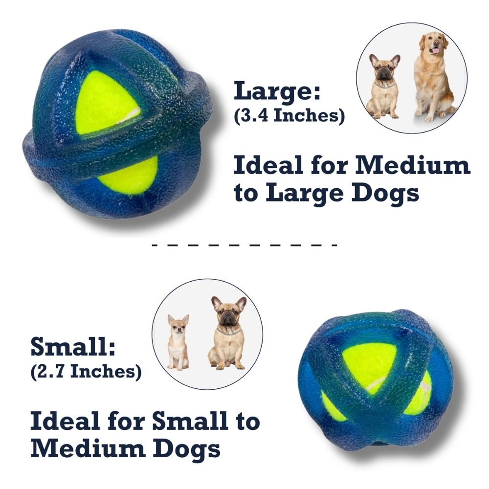natural rubber tennis ball dog toy with TPR coating
