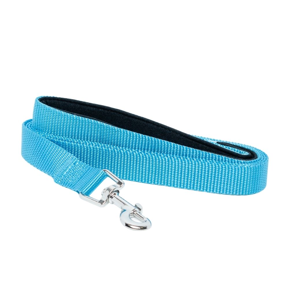 Durable nylon dog leash with padded grip handle 5 foot