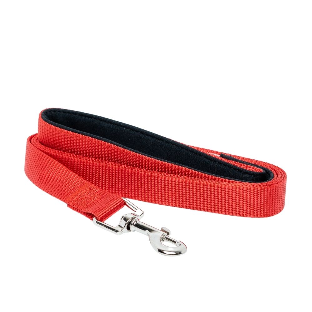Durable nylon dog leash with padded grip handle 5 foot