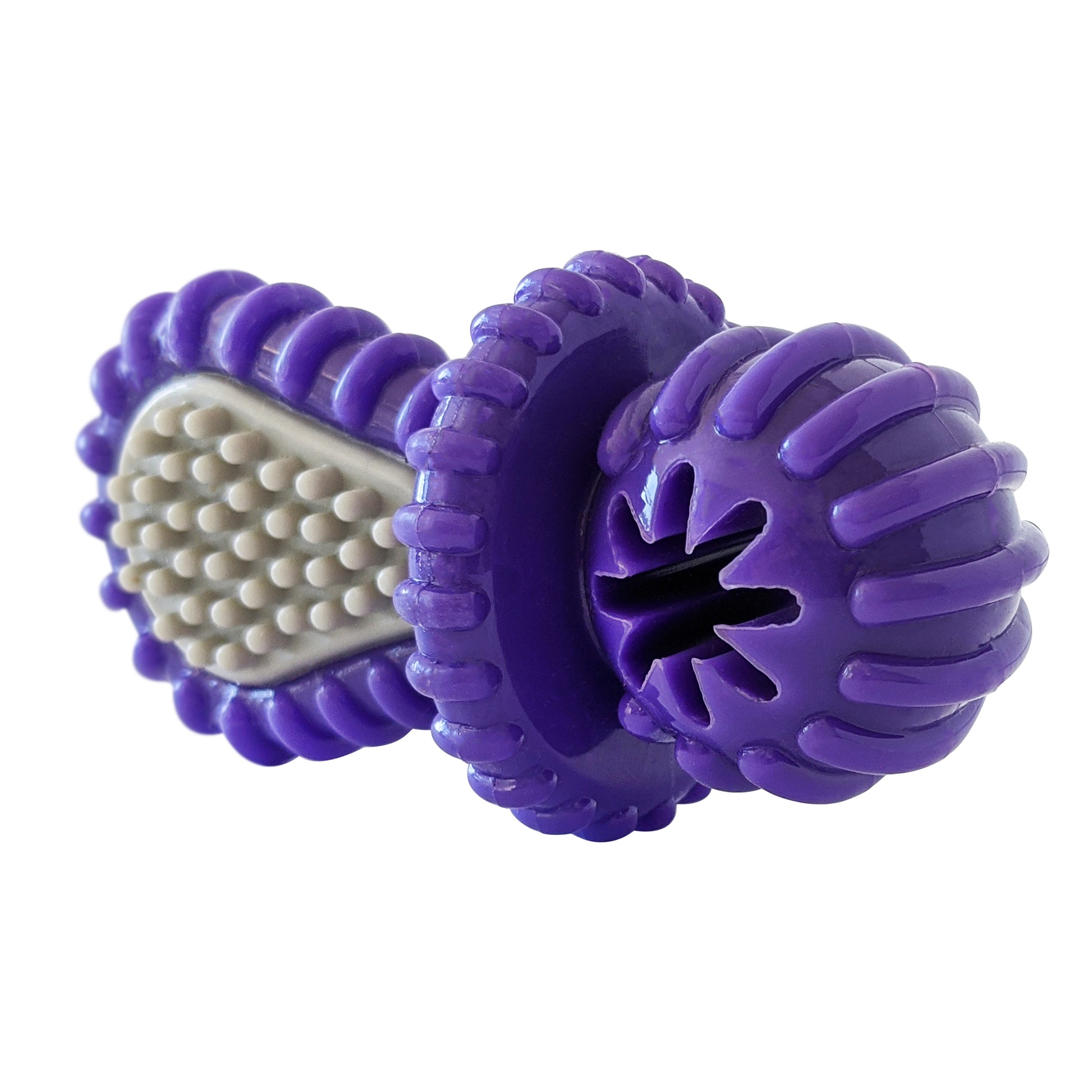 purple dental pacifier chew toy designed for dogs