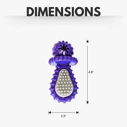purple dental pacifier chew toy designed for dogs