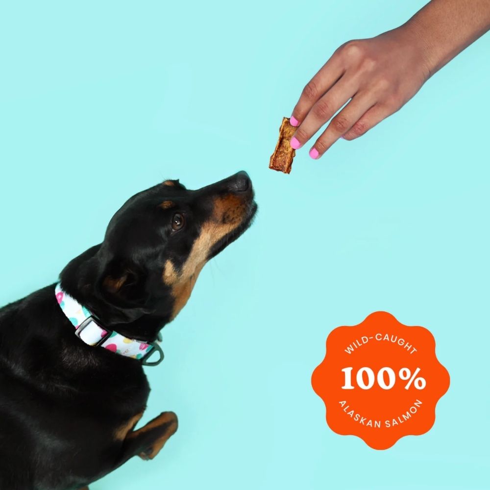 Ava's Pet Palace salmon jerky dog treats, crunchy natural fish treats