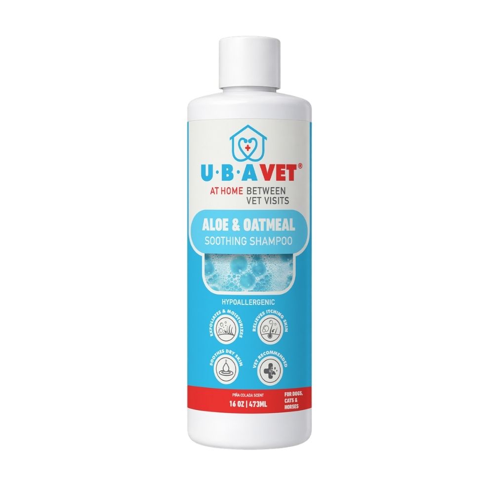aloe and oatmeal pet shampoo for dogs and cats 16.9 oz