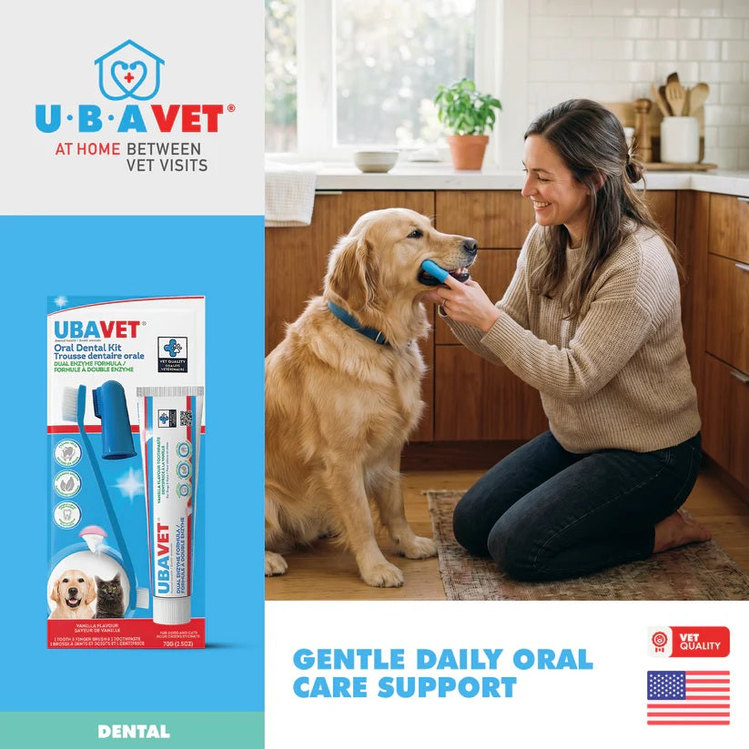 Dog and cat dental kit with toothpaste and toothbrush