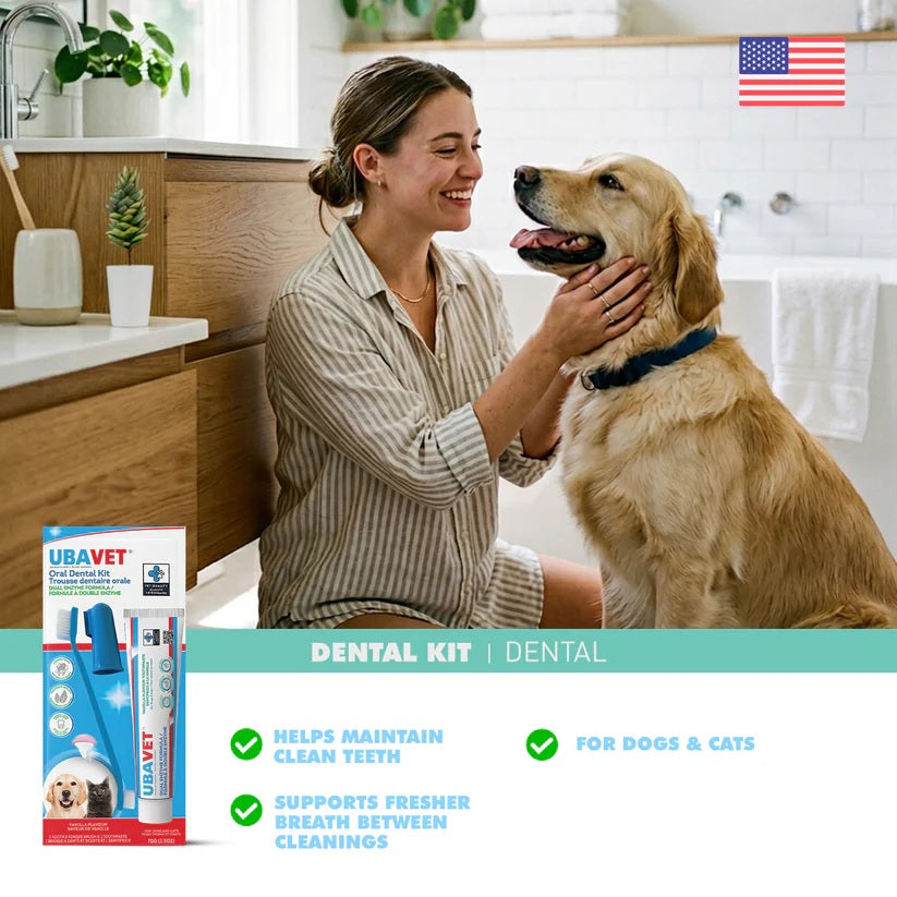 Dog and cat dental kit with toothpaste and toothbrush