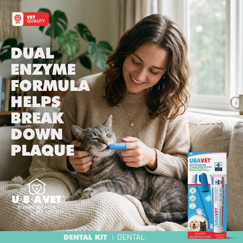 Dog and cat dental kit with toothpaste and toothbrush
