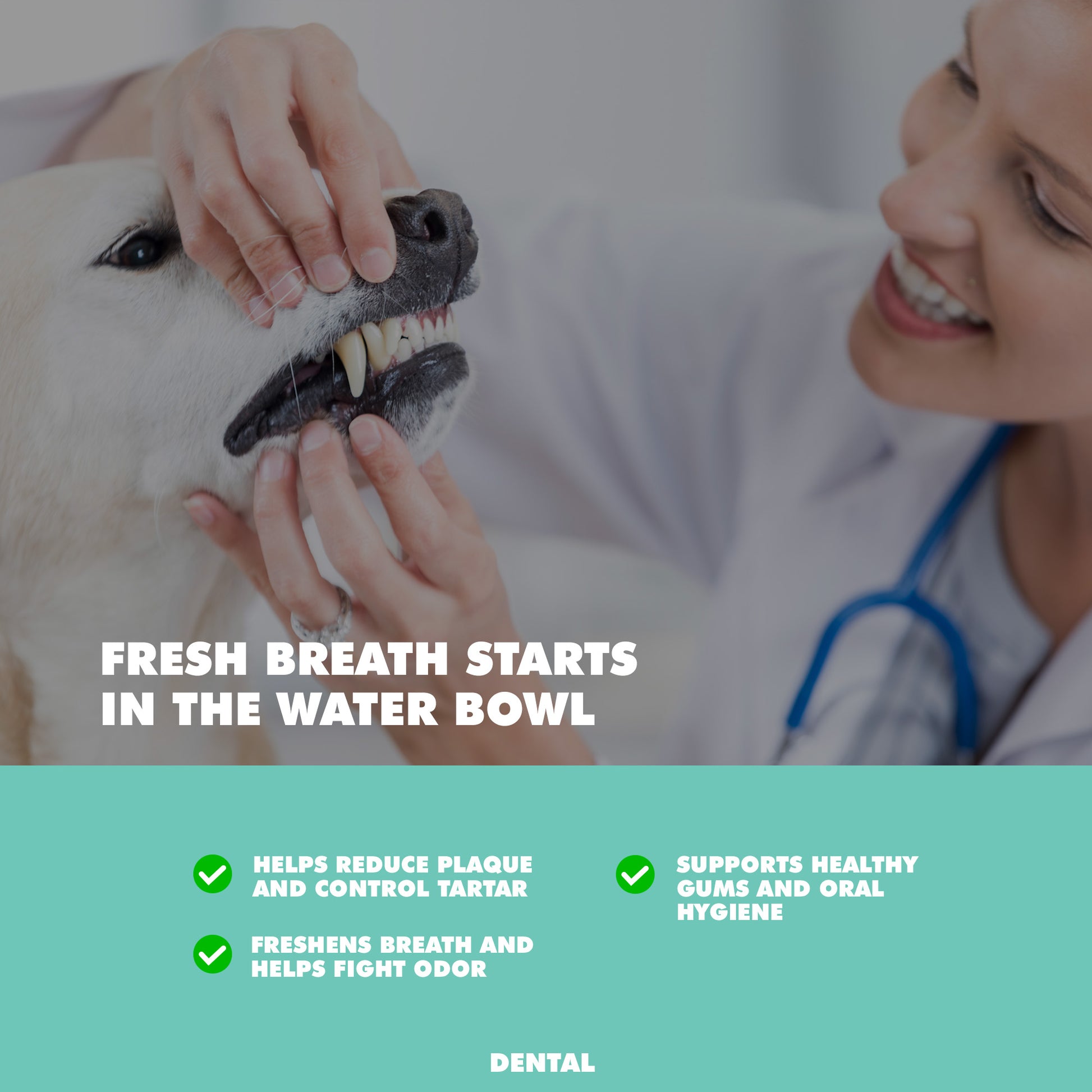 dental care water additive for dogs and cats 16 oz bottle