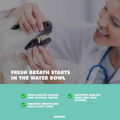 dental care water additive for dogs and cats 16 oz bottle