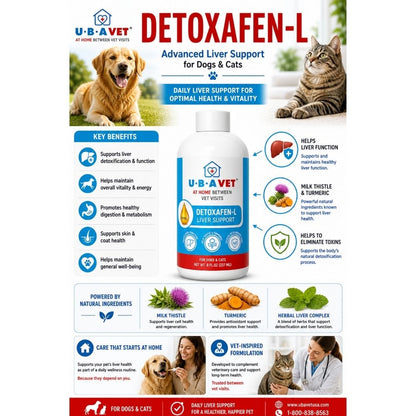 Liquid milk thistle supplement for dog and cat liver support
