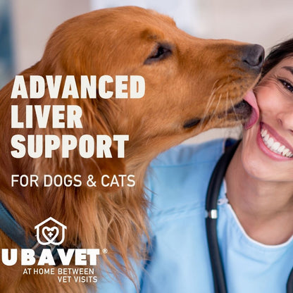Liquid milk thistle supplement for dog and cat liver support