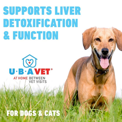 Liquid milk thistle supplement for dog and cat liver support