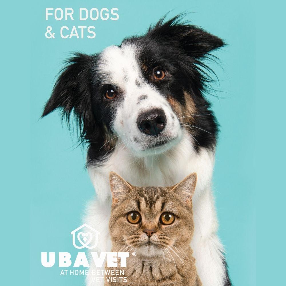 Liquid milk thistle supplement for dog and cat liver support