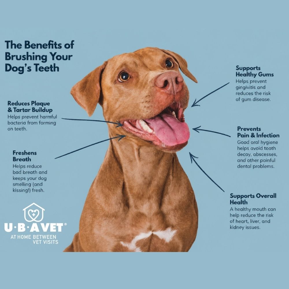 vanilla flavored dual enzyme toothpaste for dogs and cats