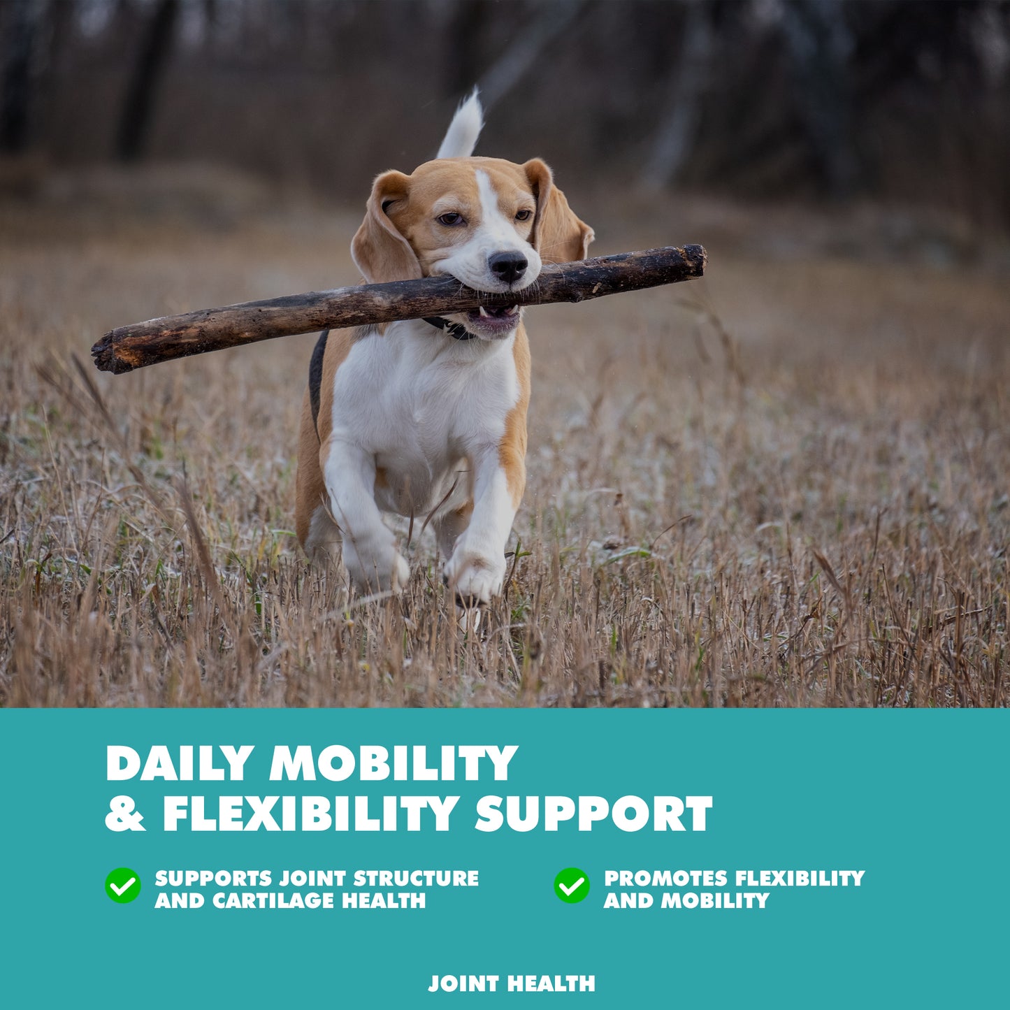joint support powder for dogs and cats 8.8 oz supplement